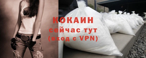 шишки Балабаново