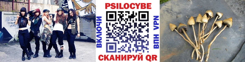 Псилоцибиновые грибы Psilocybine cubensis  ссылка на мегу рабочий сайт  Городовиковск  магазин продажи  